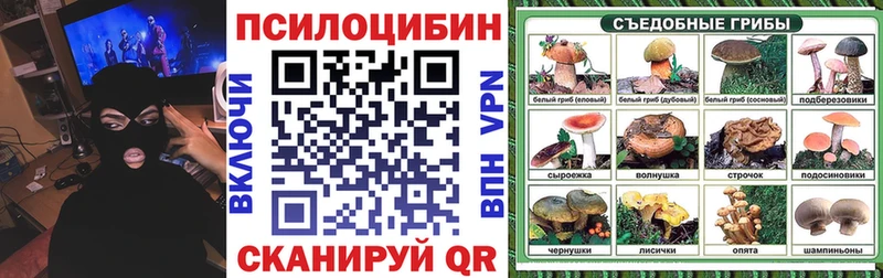 купить наркотик  Неман  Псилоцибиновые грибы Psilocybe 